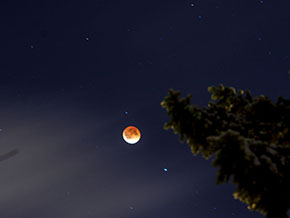 April 2014 Blood Moon and Stars